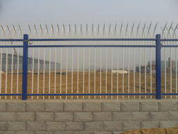 河北護(hù)欄網(wǎng)廠家 專(zhuān)業(yè)制造，鑄就優(yōu)質(zhì)安全屏障